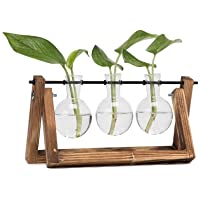 Los mejores  - Hyindoor Florero de Vidrio para Planta Hidropónica Florero de Bulbos de 3 Jarrones de Bombilla Cristal con Soporte de…
